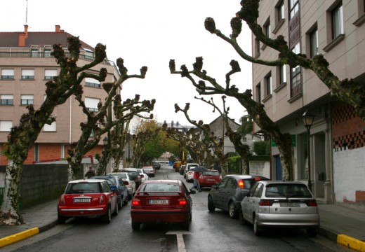 Continúan os traballos de poda na vila de Ordes