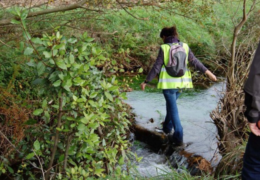 Adxudicación provisional do proxecto de recuperación integral do río Arlés e a súa contorna