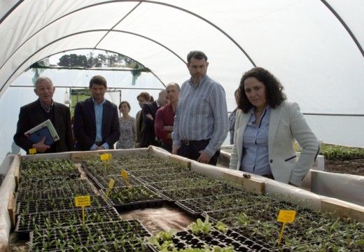 A delegada territorial da Xunta visita as hortas e  invernadoiros da Sementeira