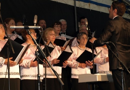 XV Festival de Panxoliñas “Concello de Fene”