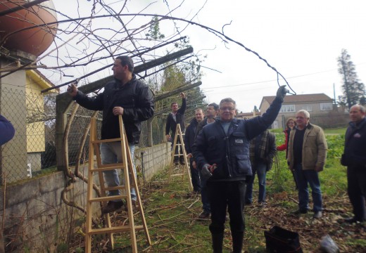 Conclúe o curso de poda organizado polo Concello de Ordes