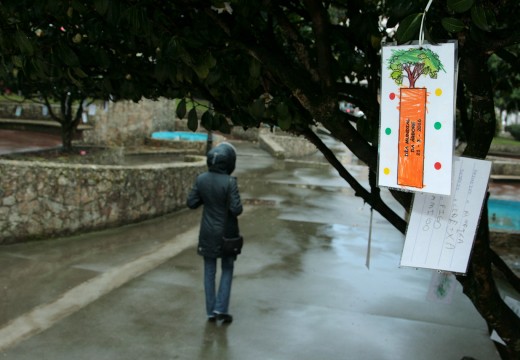 Os nenos e nenas do CEIP Campomaior conmemoran o Día da árbore