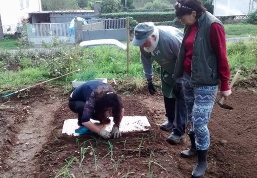 Cambre organiza un curso práctico sobre cultivo ecolóxico