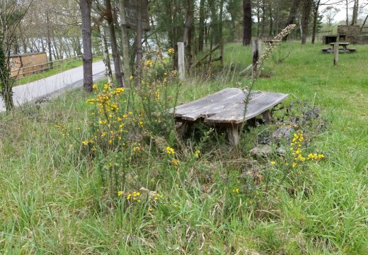 O PSOE de Ordes denuncia o estado de total  abandono da área de lecer de Vilagudín e pídelle ao Concello que proceda á súa restauración