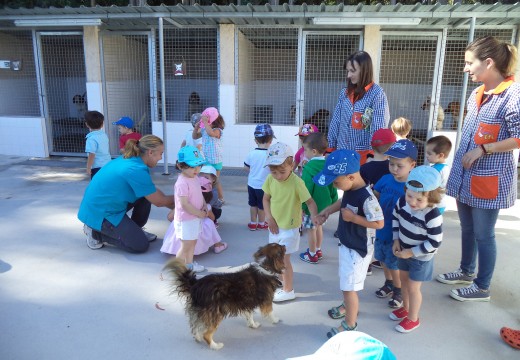 Visita dos nenos e nenas da escola infantil municipal á canceira de Ordes