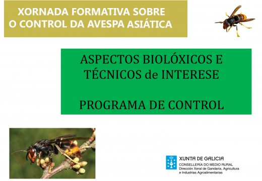 Sesión formativa sobre o control da avespa asiática