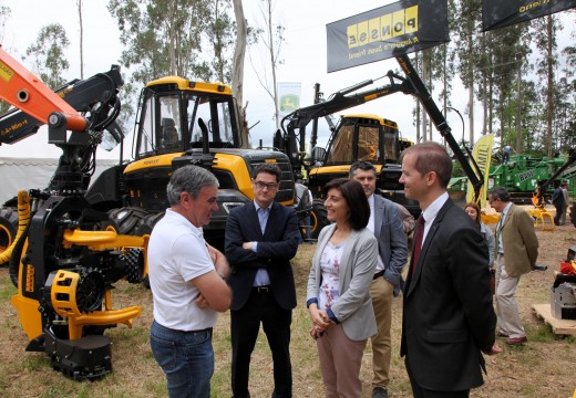 Ángeles Vázquez sinala en Galiforest a importancia de poñer en valor o noso monte dende o punto de vista económico