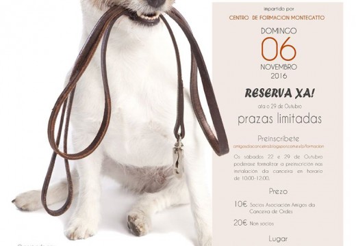 Curso teórico-práctico de adestramento canino