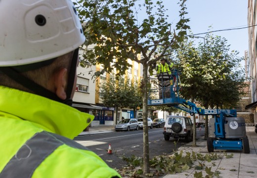 O maior volume de traballo céntrase en Marqués de Figueroa e en Naturais de Fene