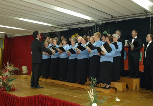 O Judo e as panxoliñas protagonizan este sábado a programación de Nadal do Concello de Fene