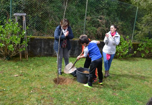 Educación organiza polo Día da Árbore a prantación de varias especies nos CEIP