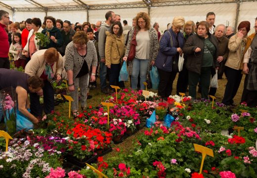 San Sadurniño pon a XXII Feira da Plantación o 30 de abril