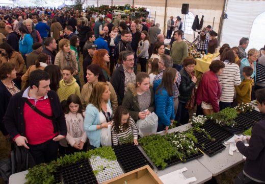 46 postos inscritos para a XXII Feira da Plantación