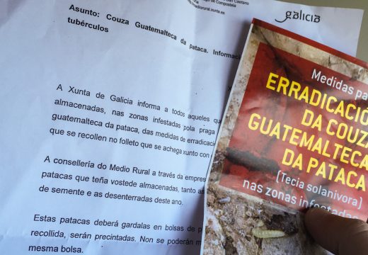 A Xunta enviará ás casas información sobre a loita contra a praga da pataca