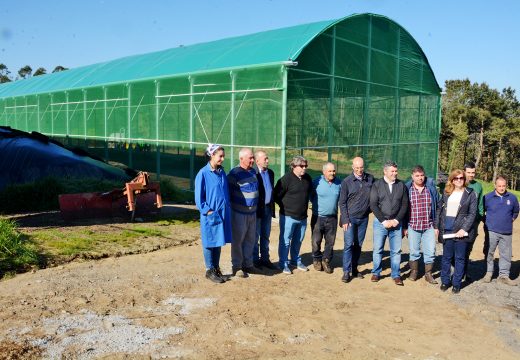 O apoio da Xunta ao Medio Rural propiciou que o ano pasado 164 mozos da provincia convertéranse en gandeiros e agricultores