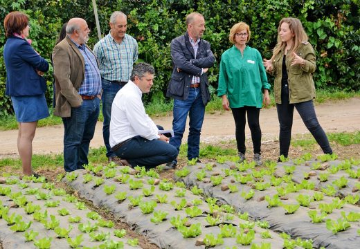 Dúas liñas de axudas de Medio Rural permiten un investimento nas explotacións agrarias da Coruña de 25 millóns de euros