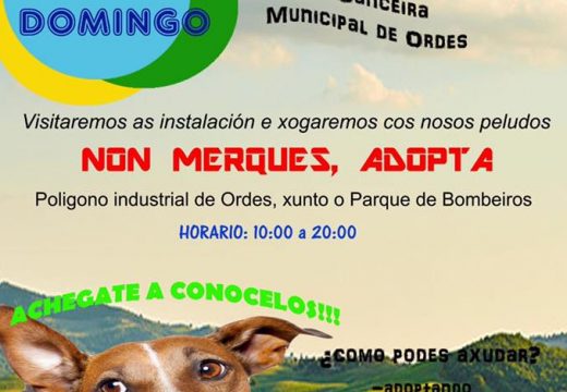 III Festa dos cans, este domingo na canceira de Ordes