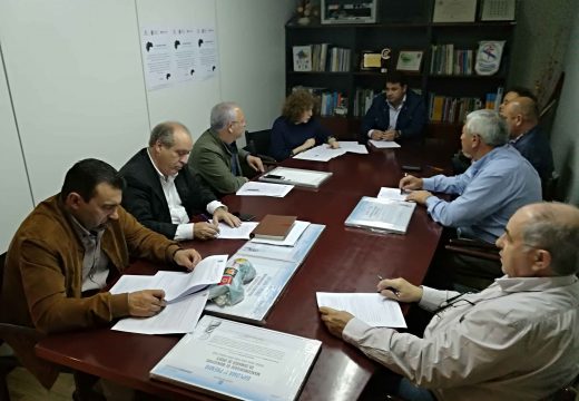 Luz verde do pleno da Mancomunidade para continuar co plan de promoción da lingua galega