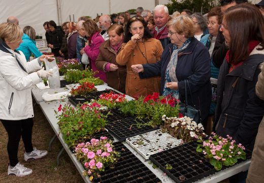 A Feira da Plantación de San Sadurniño ponlle boa cara ao mal tempo