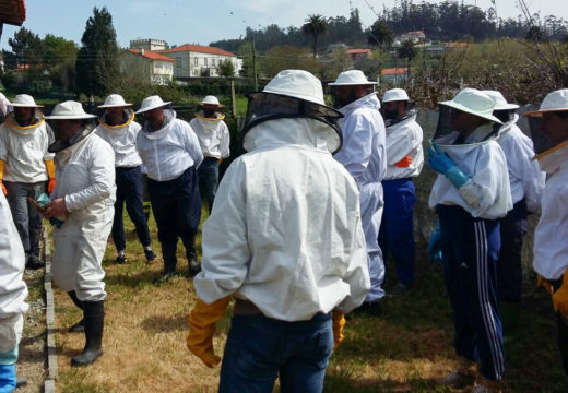 “Apostando polo sector primario”, proposta desta tarde en San Sadurniño para falar de tres alternativas económicas para o rural