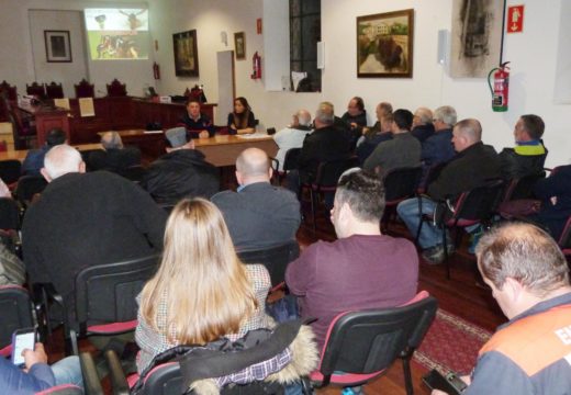 O Concello de Noia pon en marcha un plan de prevención contra as raíñas de velutina no que buscará a colaboración de municipios veciños