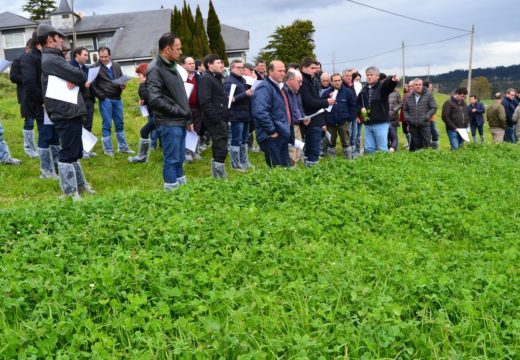 Gandeiros portugueses coñecen os traballos do Centro de Investigacións Agrarias de Mabegondo sobre produción de leite