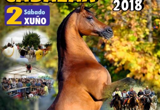 Ardemil celebrará a súa VIII Xuntanza Cabalar esta próxima fin de semana