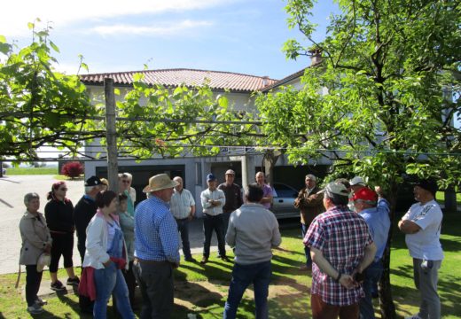 Remata en Frades a terceira edición do Curso de Poda e Enxertos, que formou a vinte veciños e veciñas ao longo dos últimos meses