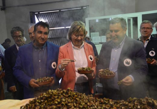 Servidas máis de 2.000 racións na vixésimo primeira Festa do Percebe de Aguiño