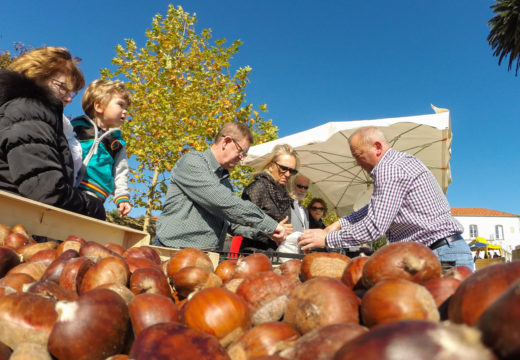 San Sadurniño abre o prazo de inscrición no derradeiro mercado local do ano