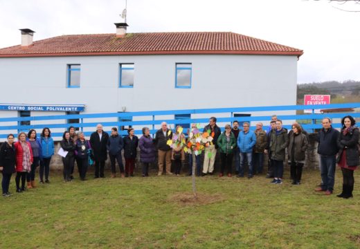 O Concello de Brión conmemora o Día Internacional da Muller coa figueira símbolo da iniciativa “Mulleres medrando como árbores”