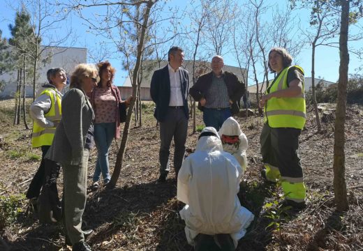 Ovidio Rodeiro clausura o Obradoiro de Emprego Xuvenil de Rianxo no que se formaron 16 alumnos en repoboacións e tratamentos silvícolas