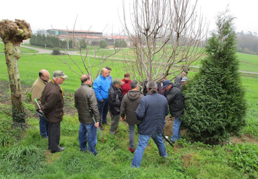 Remata a terceira edición do Curso de Poda e Enxertos, no que participaron 20 veciños e veciñas de Frades