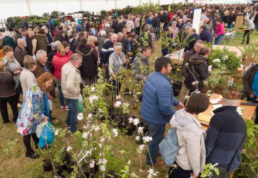 42 expositores participarán na Feira da Plantación de San Sadurniño deste domingo