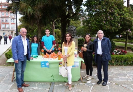 Centos de veciños e veciñas participan nas actividades organizadas polo Concello de Noia para conmemorar o Día do Medio Ambiente