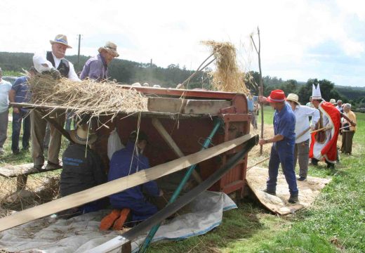 A malla, máis viva ca nunca en Ardemil