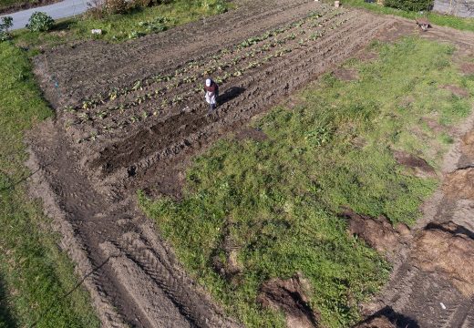 Medio Rural aclara o asunto dos desprazamentos para atender hortas