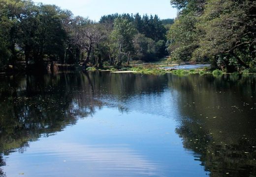 MEDIO AMBIENTE SUSPENDE A VENDA DE PERMISOS DE PESCA FLUVIAL E PERMITE A APERTURA DE TENDAS DE ALIMENTACIÓN ANIMAL