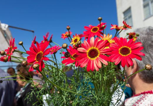 O Concello de San Sadurniño pon en marcha o certame “San Sadurniño en flor”