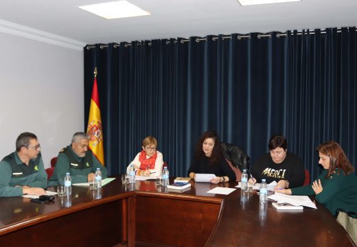 Lousame celebra por videoconferencia a sétima Mesa Local de Coordinación Interinstitucional fronte á violencia de xénero