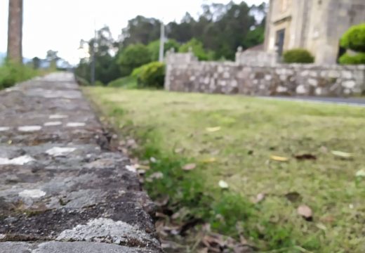 A cuarta fase do trampeo primaveral de avespa velutina en Brión sáldase coa captura de 358 raíñas e 609 obreiras