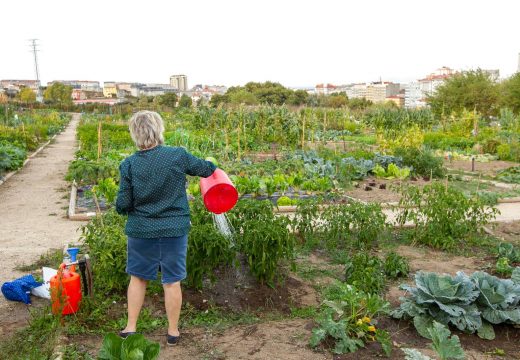 A Policía Local publica unha instrución sobre o regulamento do coidado e recolección dos hortos de autoconsumo