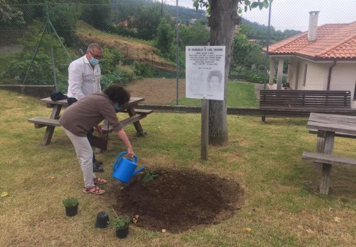 Carral acolleu o XIV Agasallo a Luis Seoane coa plantación de tres plantas de ruda e allo verde