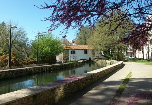 O Concello adecenta durante estes días parques e espazos públicos de todo o territorio