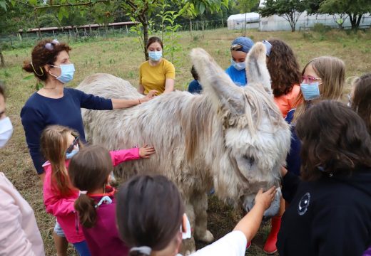 O campamento xuvenil “Saborea a vida do rural” de Vilasantar promove o contacto coa natureza entre a xuventude