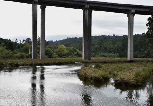 Miño contará con máis de 42.000 euros que dedicará á difusión de valor ecolóxico entre a juventd e control das especies invasoras nas marismas do Baxoi e do Lambre