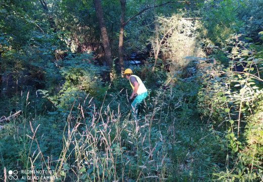 A Xunta executa traballos de limpeza nos treitos interurbanos do Río Ulla e afluentes ao seu paso polos concellos da Estrada, Teo, Vedra, Vila de Cruces, Boqueixón e Touro