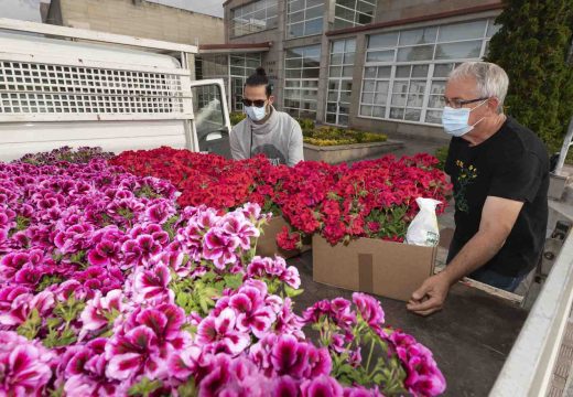 San Sadurniño xa está dentro de “Vilas en flor”