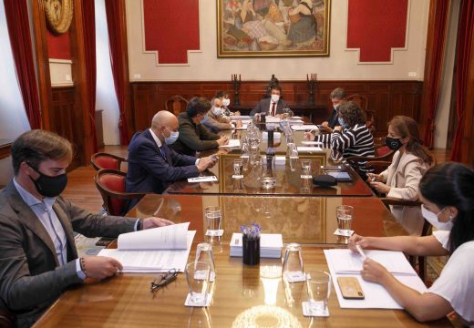 Borrego: “A única forma de manter os destinos en 2021 é suspendendo temporalmente o contrato con Vueling”