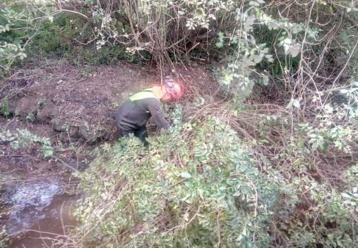 A Xunta executa actuacións de conservación e limpeza en catro ríos do concello de Arteixo